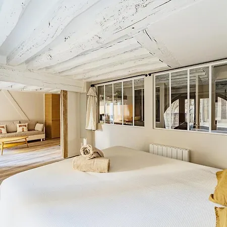 2br Next To Notre Dame De Apartment Paris